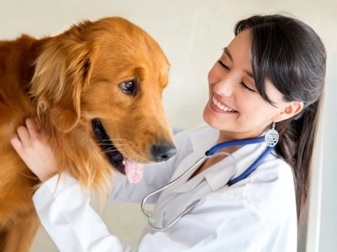 Ten questions to ask your vet during your dog’s annual check-up