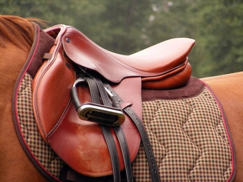 Choosing a Saddle and Accessories for your Horse