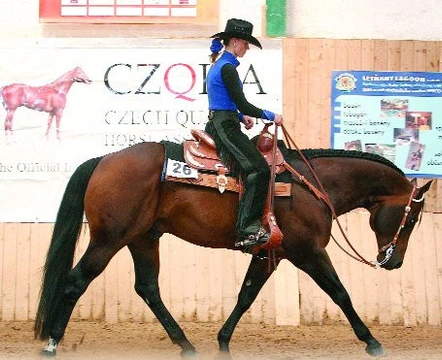 Czech Quarter Horse Show již popáté