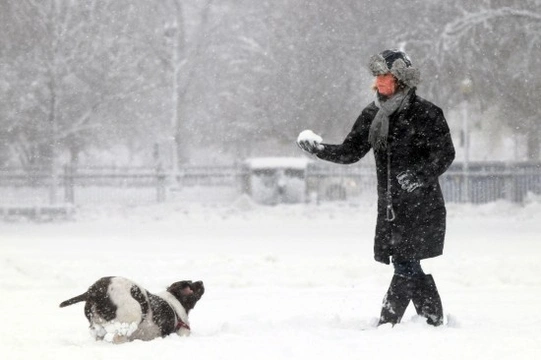 Cómo mantener a tu perro entretenido en invierno