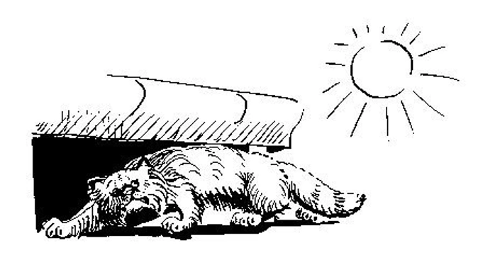 ChediakHigashi syndrom iFauna