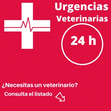 Urgencias veterinarias 24 horas
