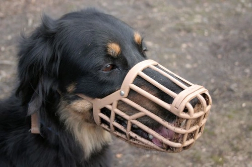 Russian dog outlet muzzle