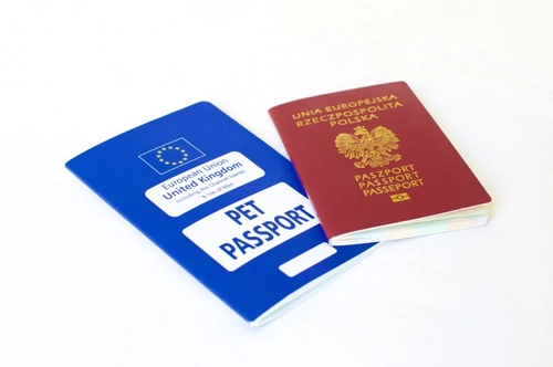 British 2024 pet passport