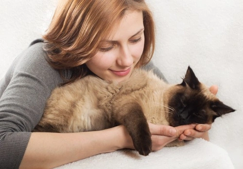 10 Lovely Ways Your Cat Shows You Their Love | Pets4Homes