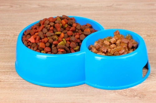 How to Choose the Right Dog Food | Pets4Homes