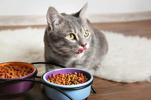 Urgent notice Three UK Cat food brands affected by product