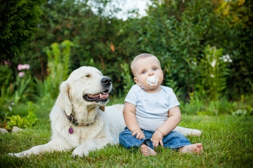 Baby allergic sale to dog saliva