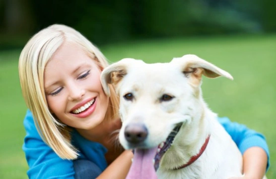 All about lifetime pet insurance