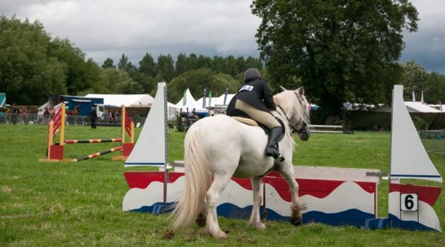 Falling from your horse - how to do it as safely as possible!