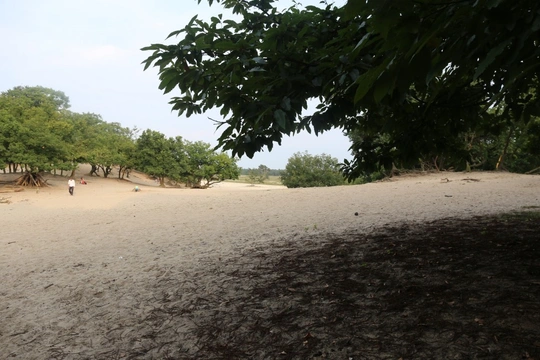 Losloopgebied: De Loonse en Drunense Duinen