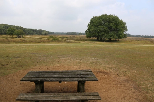 Losloopgebied: Tafelberg- en Blaricummerheide