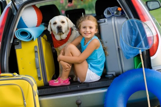 Travelling with Pets: How to survive Car Journeys