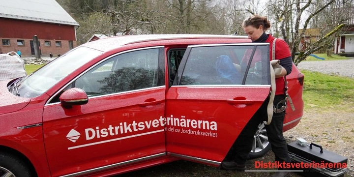 Värme och tävling - Tänk på detta!