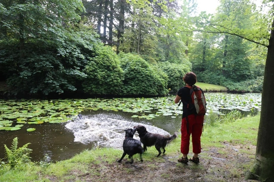 Losloopgebied: Landgoed en kasteel Groeneveld in Baarn