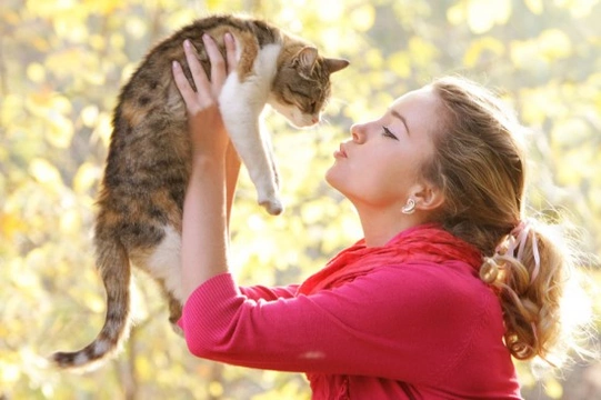 Avoiding the Over-Humanisation of your Cat