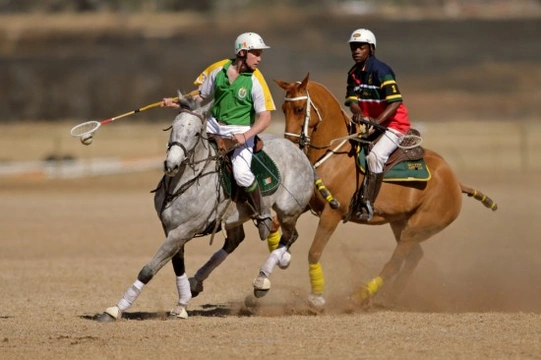 Ten unusual equestrian sports