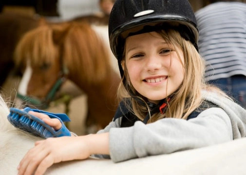 Grooming your Pony