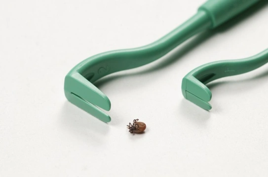 Tick season 2021: How to use a tick twister on a dog