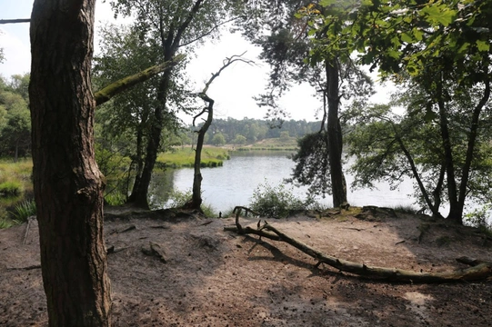 Losloopgebied: Overasseltse Vennen in Wijchen