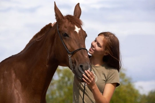 What to Avoid when Buying a Horse