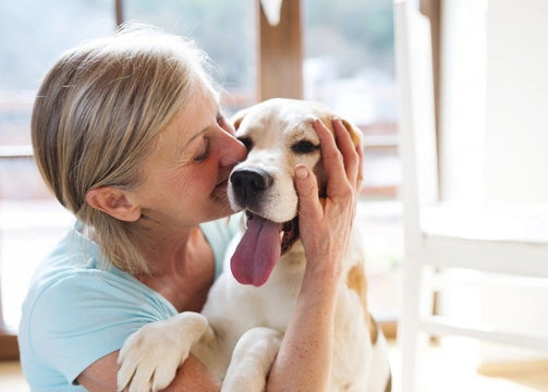 April is national pet month in the UK