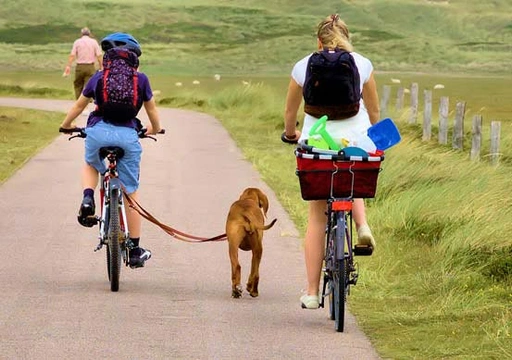 Fietsen met de hond