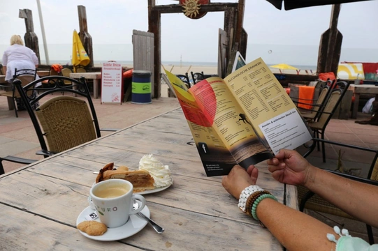 Losloopgebied: Hondenstrand in IJmuiden