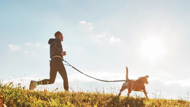 Running with your dog