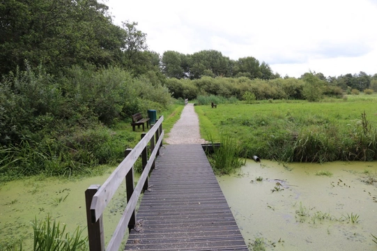 Losloopgebied: Reeuwijkse Plassen