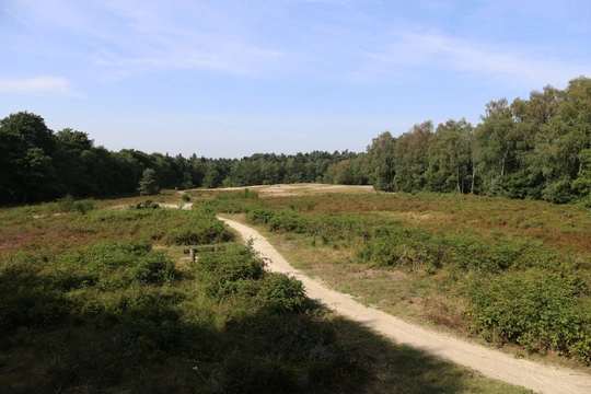 Losloopgebied: Kaapse Bossen in Doorn