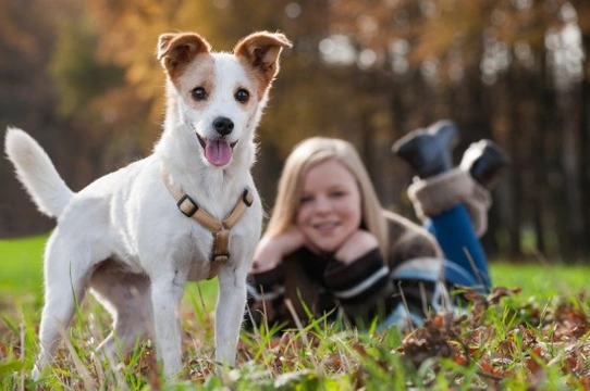 What to do if your child is afraid of dogs