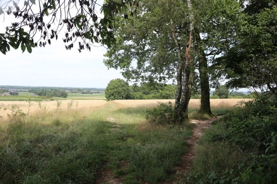 Losloopgebied: Natuurgebied Laarsenberg (80 ha) in Rhenen