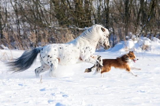 Riding Out in Wintry Conditions & How to Stay Safe