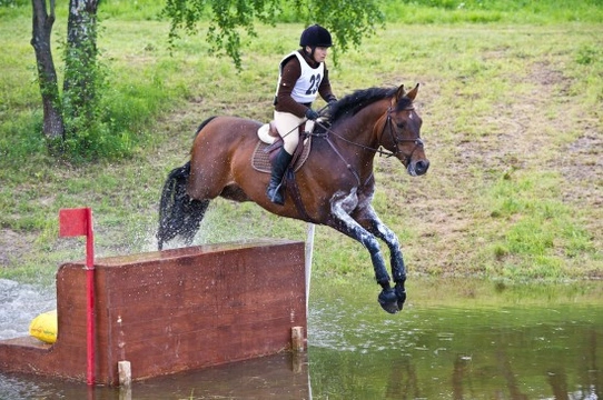 Cross country fences