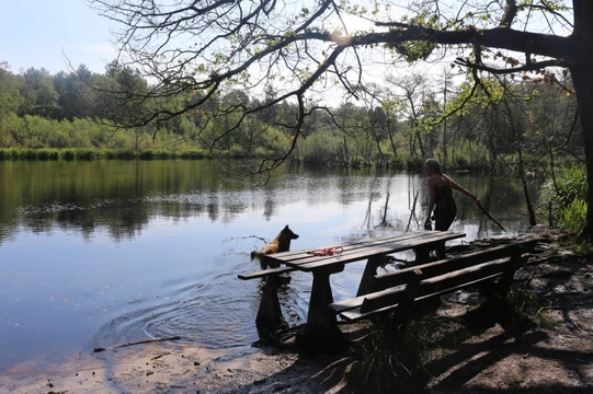 Losloopgebied: Chaamse Bossen in Chaam