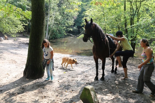 Losloopgebied: Goois Natuurreservaat Spanderswoud