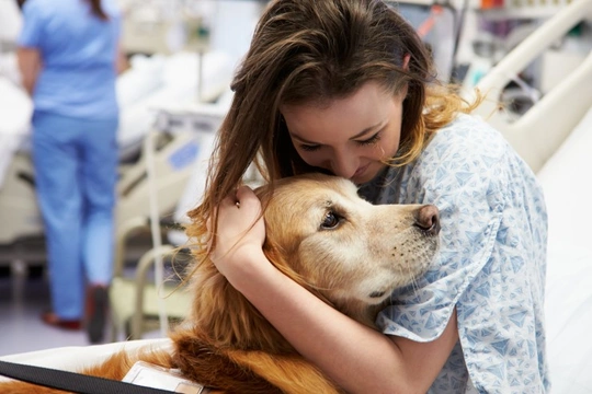 What does it take to turn your dog into a therapy dog?