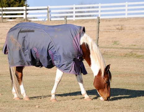 Winter Horse Feeding & Rugging - What to Consider