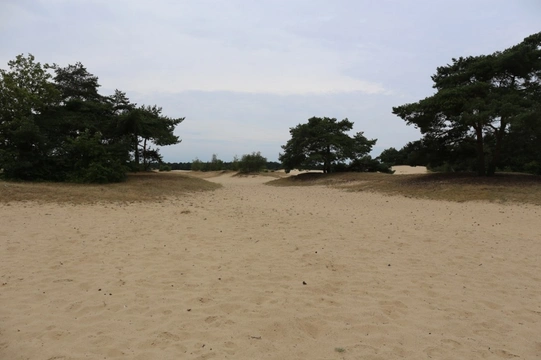 Losloopgebied: Geldersch Landschap De Haere in Doornspijk