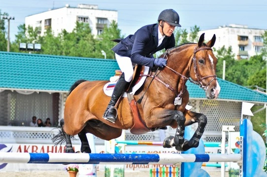 Breeds of Sport Horses