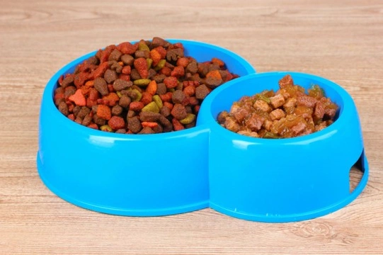 How to Choose the Right Dog Food