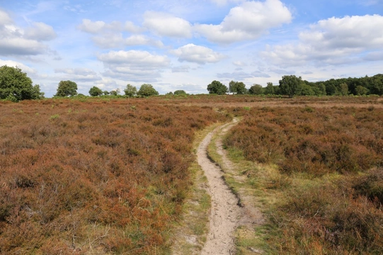 Losloopgebied: Hilversum (route vanaf vliegschool hilversum)