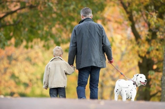 Walking the Dog....Volunteer Dog Walking