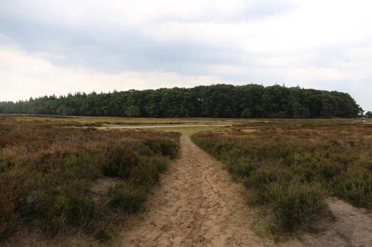 Losloopgebied: Ede losloopgebied en heide