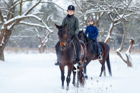 Equestrian New Year’s Resolutions to Kickstart 2020