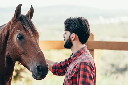 Important ground and stable etiquette for your horse