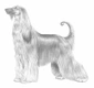 Levriero Dogs Razza - Prezzo, Temperamento & Foto | AnnunciAnimali
