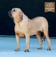 Fila Brasileiro Dogs Razza | Carattere, Prezzo, Cuccioli, Cure e Consigli | AnnunciAnimali