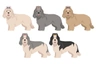 Odis Dogs Informace - velikost, povaha, délka života & cena | iFauna